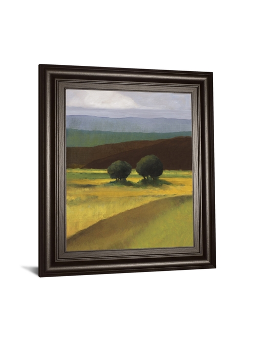Classy Art 8593 22 x 26 in. Field of Light by Judith DAgostino Framed 