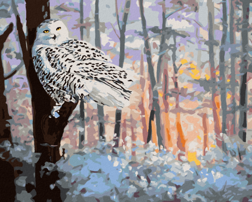 Zuty - Paint by Numbers - SNOWY OWL IN THE FOREST (D. RUSTY RUST),