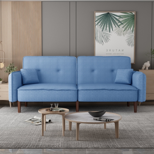 Living Room Bed Room Leisure Futon Sofa bed in Blue Fabric with Solid