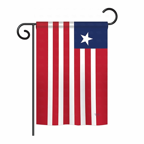 Breeze Decor BD-CY-GS-108367-IP-BO-D-US15-BD 13 x 18.5 in. Liberia Fla