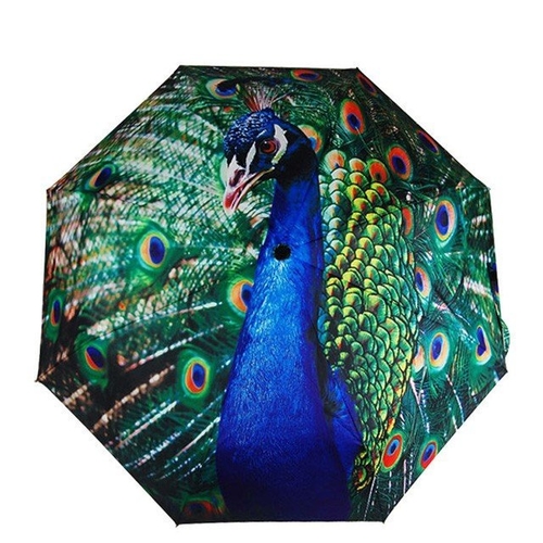 Peacock Sunny Umbrella