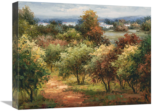 Global Gallery GCS-132573-1620-142 16 x 20 in. Sun Dappled Country Roa