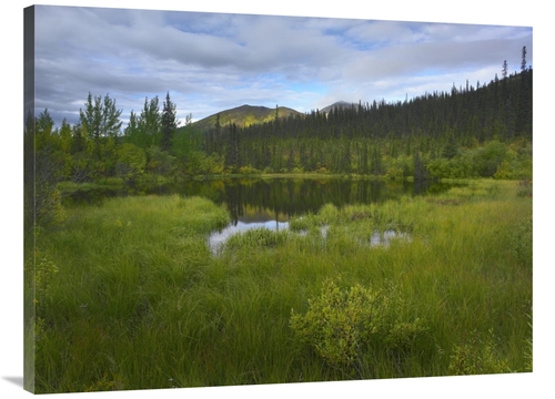 Global Gallery GCS-397181-3040-142 30 x 40 in. Boreal Forest with Pond