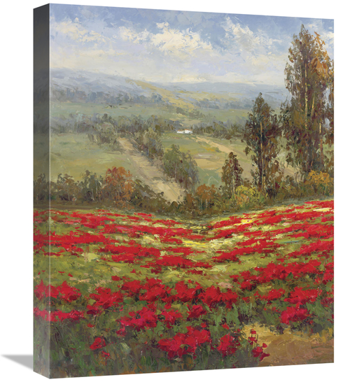 Global Gallery GCS-128434-1620-142 16 x 20 in. Poppy Vista II Art Prin