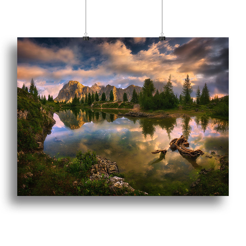 Limides Canvas Print or Poster