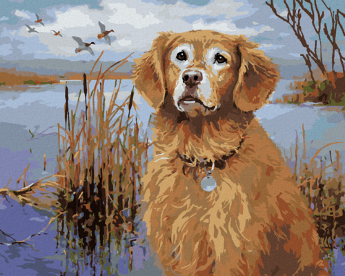 Zuty - Paint by Numbers - GOLDEN RETRIEVER AT THE POND AND DUCKS (JIM