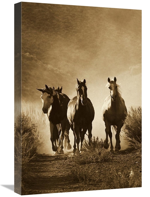 Global Gallery GCS-453704-1624-142 16 x 24 in. Horse Group of Four App