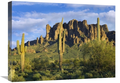 Global Gallery GCS-396947-1824-142 18 x 24 in. Saguaro Cacti & Superst