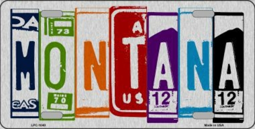 Smart Blonde LPC-1040 Montana License Plate Art Brushed Aluminum Metal