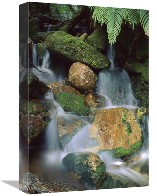Global Gallery GCS-453504-1218-142 12 x 18 in. Stream Waterfall Near L