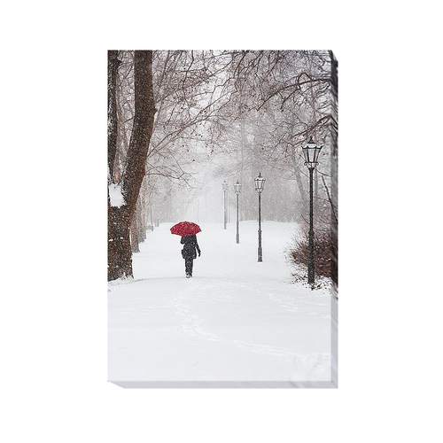 Artistic Home Gallery 1624U534IG Winter Rose by Stefano Corso Premium 