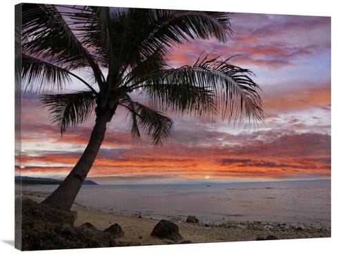 Global Gallery GCS-396587-3040-142 30 x 40 in. Coconut Palm at Sunset 