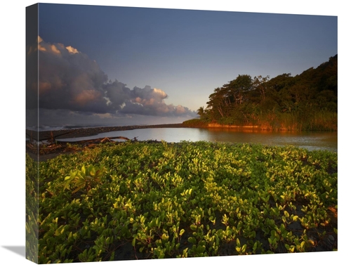 Global Gallery GCS-396494-22-142 22 in. Lagoon Near Coastline, Cor