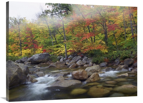 Global Gallery GCS-397129-3040-142 30 x 40 in. Swift River Flowing Thr