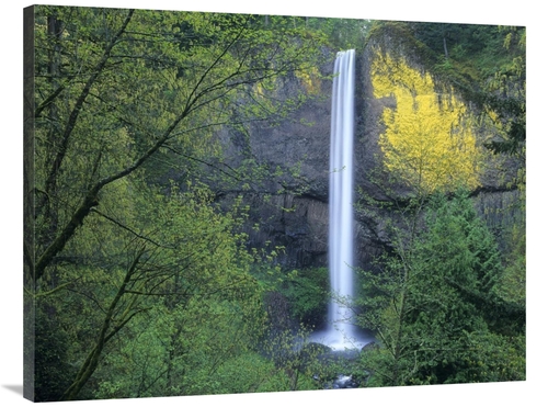 Global Gallery GCS-396520-3040-142 30 x 40 in. Latourell Falls, Co