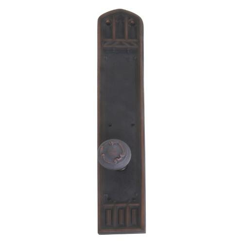 Brass Accents D04-K584A-LFT-619 Interior Door Plate Passage Set- 2.75 