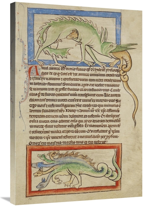 Global Gallery GCS-454769-2436-142 24 x 36 in. A Hydrus - A Hydra Art 