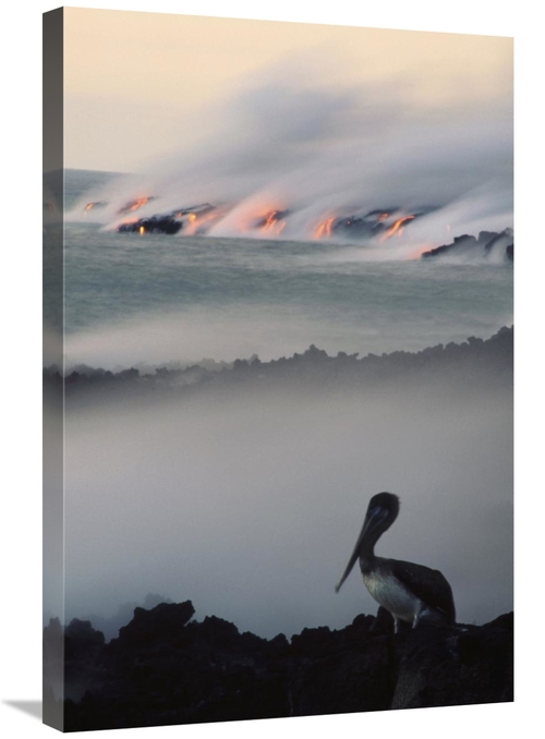 Global Gallery GCS-451044-2030-142 20 x 30 in. Brown Pelican by A Lava