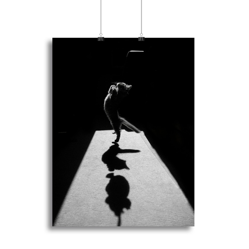 Edgar the Great II Canvas Print or Poster