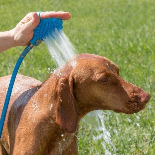 Pet Hose Scrubber