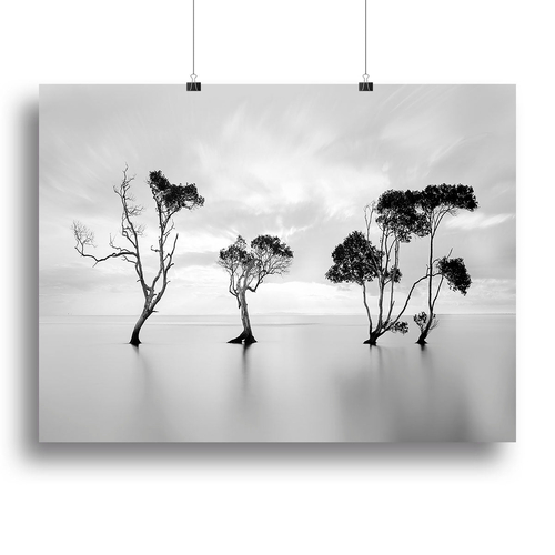 Drowning Not Waving Canvas Print or Poster