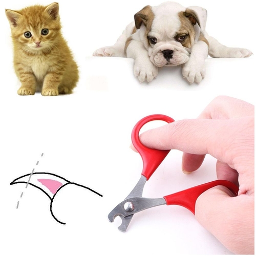 1PCS Red Trimmer Puppy Kitten Nail Scissor Cat Dog