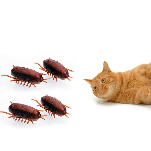 Cat Toys Electric Cockroach Toy with Button