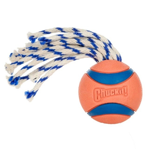 Cotton Dog Rope Toy Knot Puppy Chew