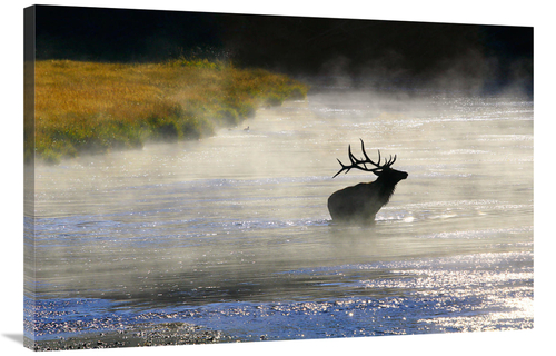 Global Gallery GCS-486552-40-142 40 in. In to Deeper Waters Art Print 