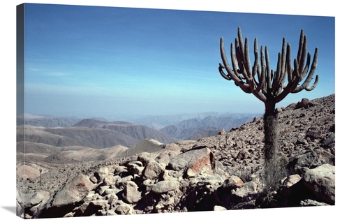 Global Gallery GCS-451082-2436-142 24 x 36 in. Atacama Desert Located 