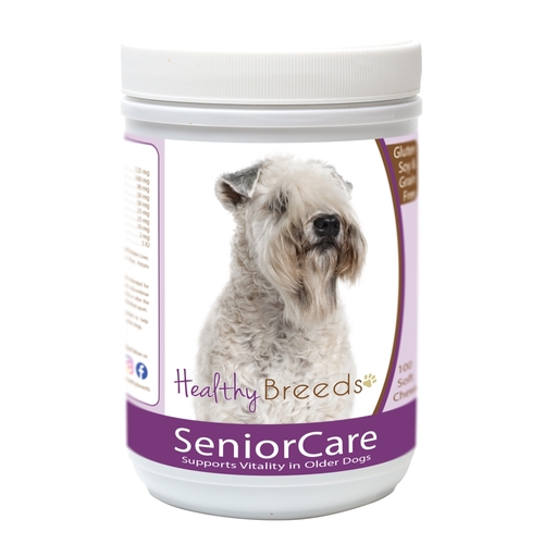 Healthy Breeds 840235163756 Soft Coated Wheaten Terrier Senior Dog Car