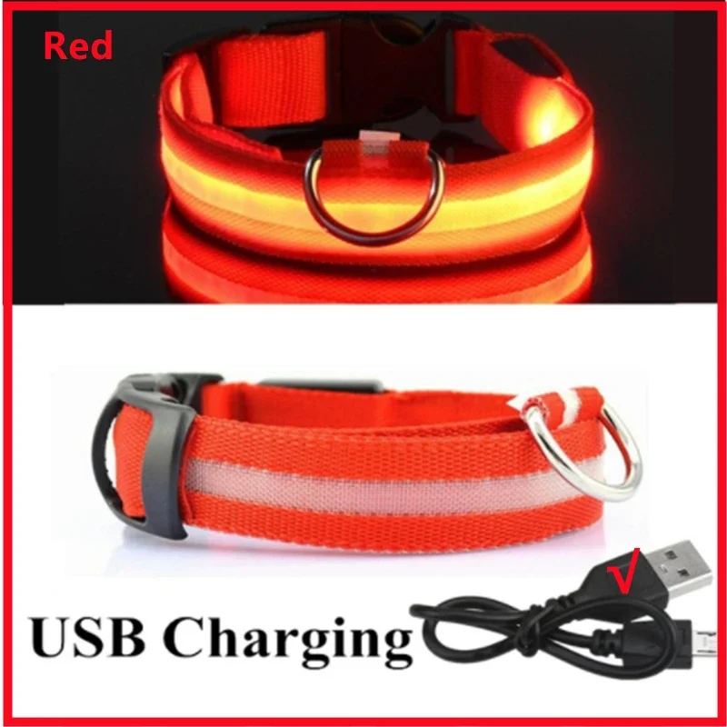 Collar de Carga Luminoso 3 Modos Perro Led Usb Gato Perros Collares Desmontables - Imagen 24 de 26
