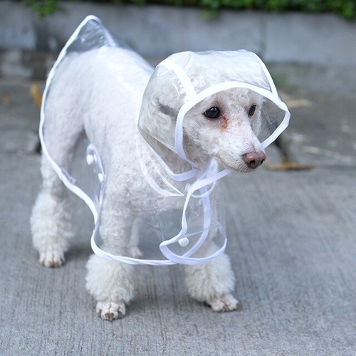 Dropship dog clothes cheap